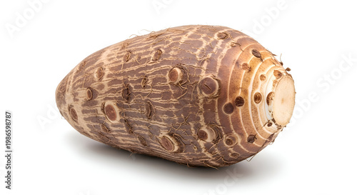 Close-up of textured seed pod.
