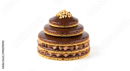 Chocolate Mille-feuille Pastry Dessert.