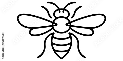 Simple black and white line art illustration of a honeybee with wings and antennae Vector, illustration