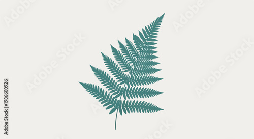 A green fern leaf on a beige background