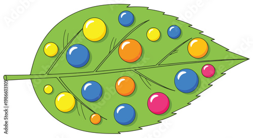A green leaf with colorful orbs