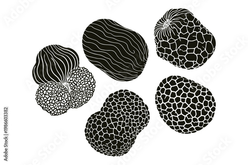 Assortment of truffles with textured surface isolated on checkered background.