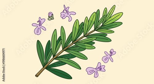 A green leafy branch with purple flowers