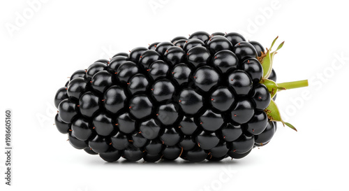Fresh blackberry on white background.
