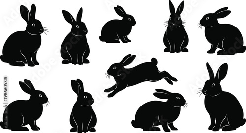 Silhouette collection of rabbits a black and white animal study