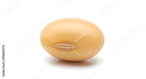 Single beige colored kidney bean isolated.