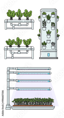 Hydroponics System Grow Fresh Vegetables Indoors Illustration