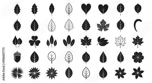 Collection of Various Stylized Leaf Icons and Simple Floral Designs on a White Background