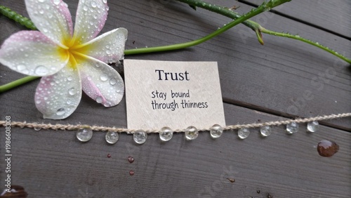 Trust message card on wooden table with flower and water droplets representing connection and thinness theme