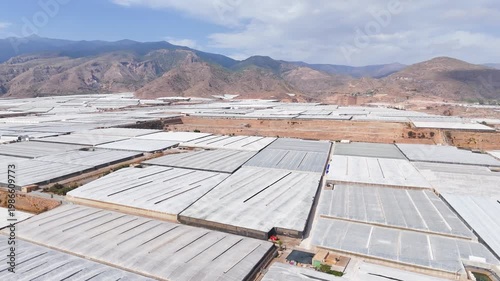 greenhouse plastic sea field earth industry modern massive technology invernaderos agriculture mountain skyline horizon mine travel success vacation texture architecture - Andalusia, Spain - 2025