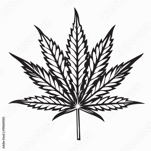 Cannabis Leaf Vector Illustration isolated On White Background