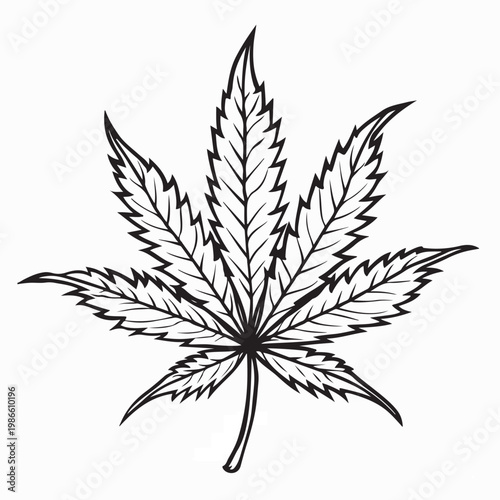 Cannabis Leaf Vector Illustration isolated On White Background