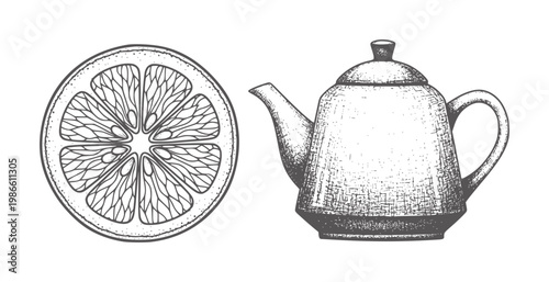 Hand drawn of a citrus fruit slice and a vintage teapot lemon orange