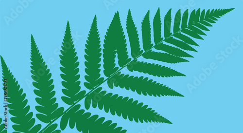 A large green fern leaf on light blue