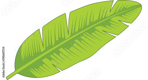 A large green feather with detailed texture