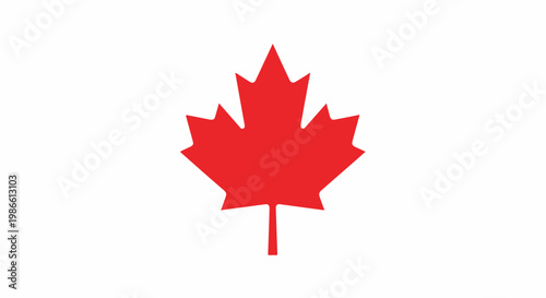 A red maple leaf on white background (1)