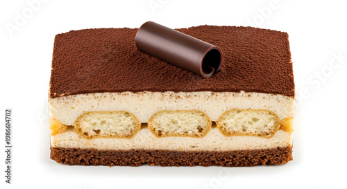 Delicious chocolate cake dessert slice.