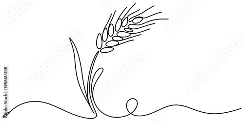 Continuous line drawing of a wheat stalk with grains and leaves on a white background Vector, illustration