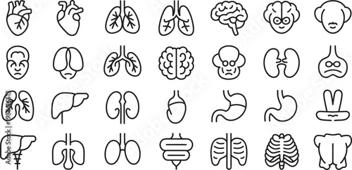 Human Organ Icons, Anatomy Symbols, Medical Illustrations, Line Art Graphics