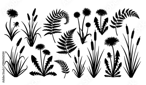 Meadow plant silhouette collection vector wild grass fern dandelion botanical set