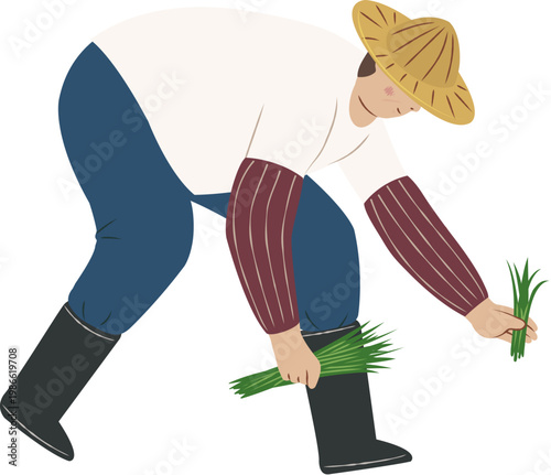 Rice Planting