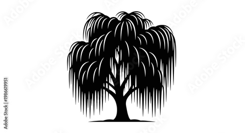 Weeping Willow Tree Silhouette Illustration.