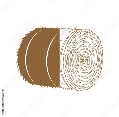 Brown tree log with visible rings on white background