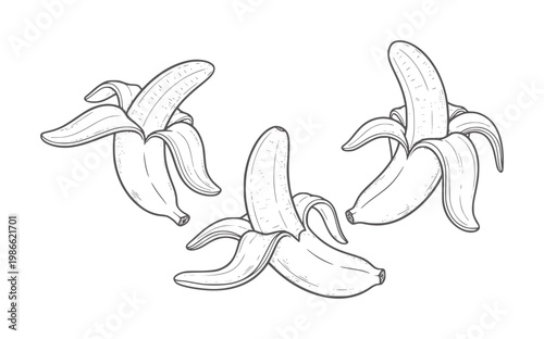 Three peeled bananas in a style a white fruit food healthy
