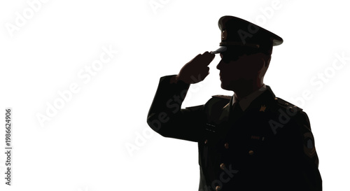 Silhouette of a military officer in uniform saluting with his right hand showing respect and honor in a formal gesture