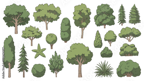 Illustrated set of tree and shrub symbols for landscape design plans, botanical elements for site mapping, clean vector illustration.