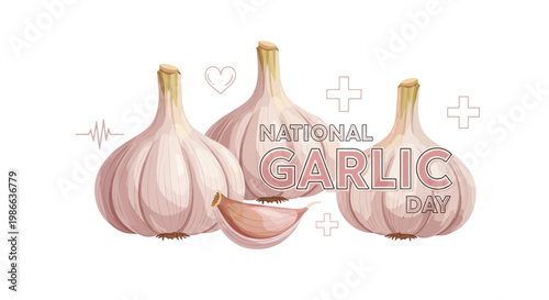 Illustrated vector graphic celebrating National Garlic Day with three fresh garlic bulbs and a clove arranged against a white background, conveying an organic and healthy food concept