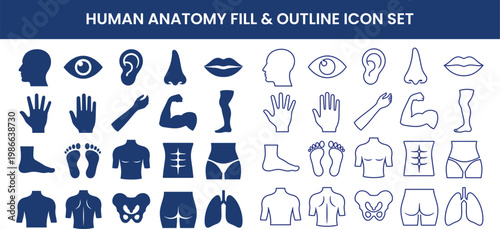 Human Anatomy Icon Set – Solid & Outline Medical Vector Collection