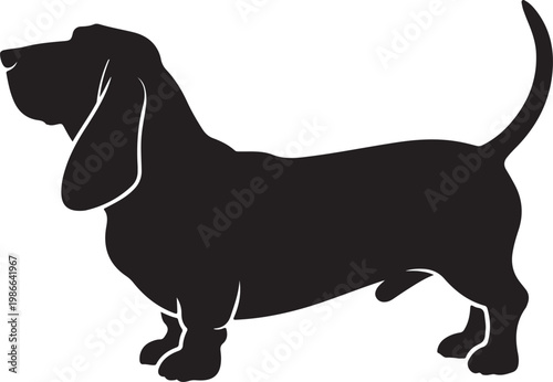 Konstfotografi Vector black silhouette of a standing basset hound dog isolated on a white background