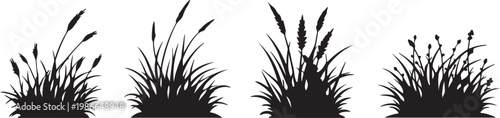 Black silhouettes of various plants and grasses on a white background flower leaf
