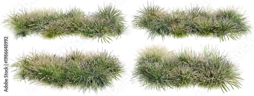 A garden decorated with flowers and small grass on a transparent background.