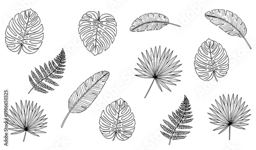 Minimal tropical leaf sketch vector set with scattered botanical elements for organic branding and seamless pattern design