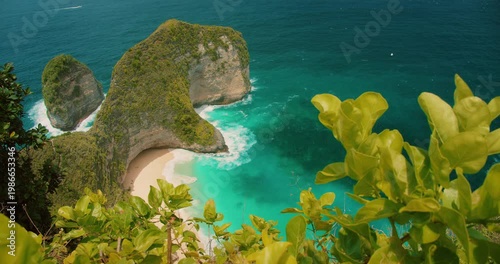 Tropical plants border the famous T Rex shaped cliff at Nusa Penida Bali Island