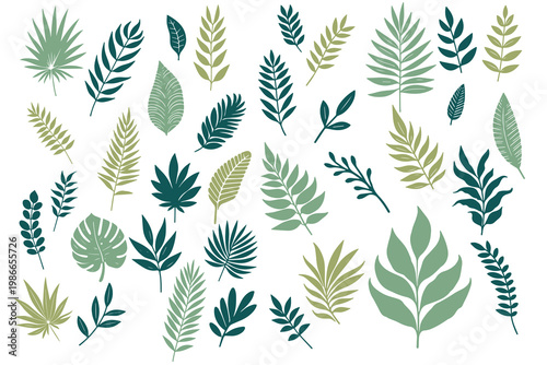 Leaf elements pack in tropical botanical style with natural foliage shapes for creative branding projects