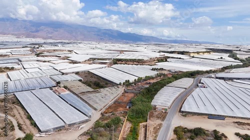 plastic sea landscape field greenhouse agriculture management earth terra forming intensive farming invernaderos summer business success roof texture industry industrial - Andalusia, Spain - 2025