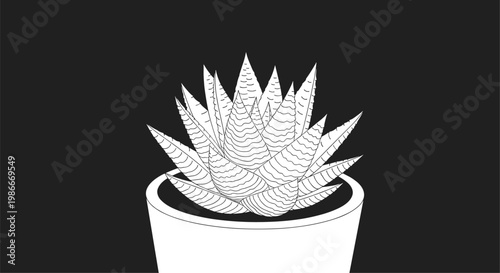 Black and white line art illustration of a small succulent plant growing in a simple ceramic pot against a solid dark black background.