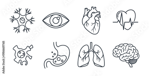 Human anatomy and biology line icons set featuring brain heart eye lungs and cell structures