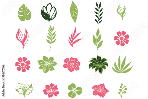 Leaf graphics pack in flat minimal style featuring botanical elements for packaging and branding projects