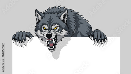 Menacing gray wolf with sharp claws and bared teeth peers over a large blank white board ready for your text.