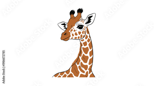 Detailed portrait of a giraffe head and long neck with its characteristic brown spots and a calm expression on white.