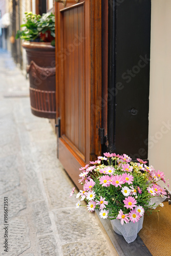 Pink daisy flowers in pot at entrance of traditional Italian house with copy space. Eye-level shot features wooden door and stone street in picturesque Mediterranean alley. Composition with negative