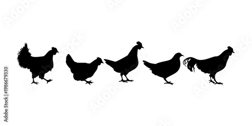 Collection of various black chicken silhouettes in different poses, including standing, pecking, nesting, and running, depicted in a simple graphic style . vector icon