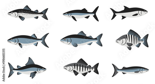 Collection of various fish species swimming.