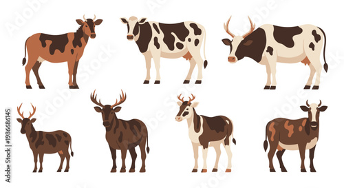 Brown and white cows and bulls standing.