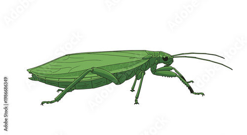 Green insect bug with long antennae.
