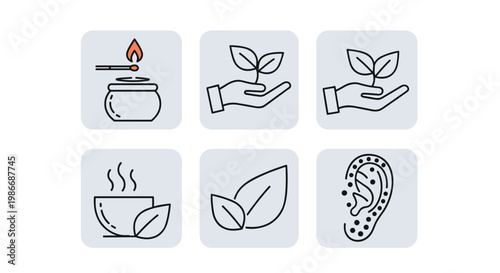 Collection of six icons representing natural wellness practices such as herbal tea, acupuncture, aromatherapy, and plant based treatments.